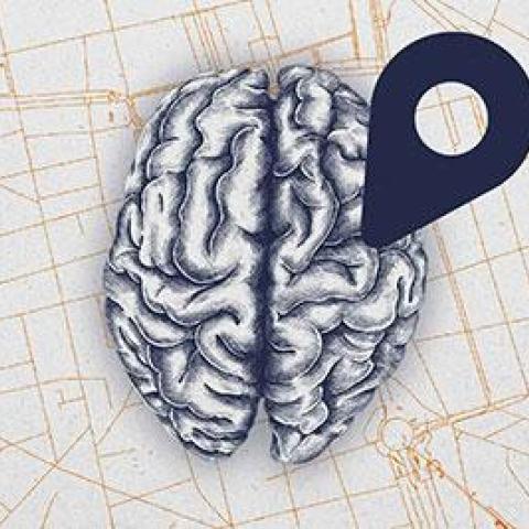 UVA labs map the part of our brain that helps us select our path