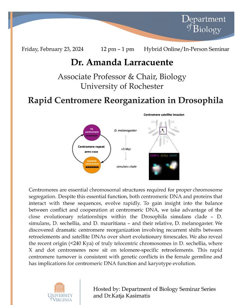 Dr. Amanda Larracuente, Associate Professor & Chair, Biology, University of Rochester