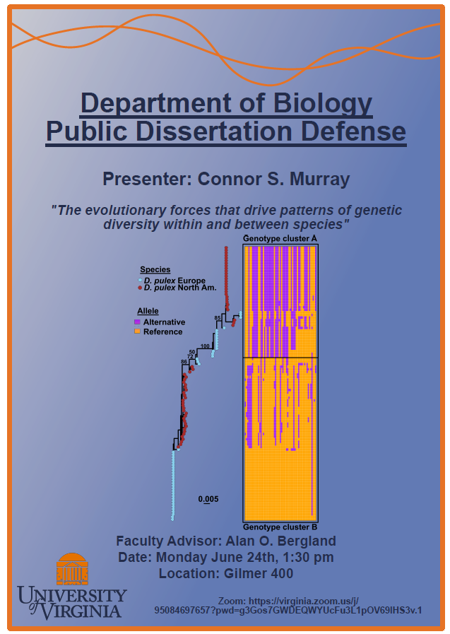 Public Dissertation Defense: Connor Murray