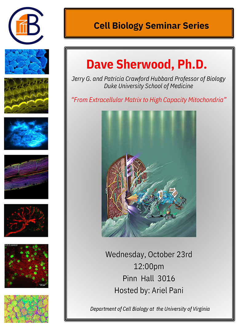 Dr. Dave Sherwood, Professor and Associate Chair of Biology