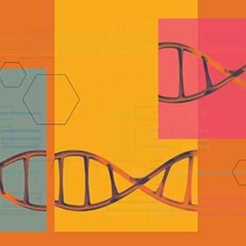 New Tool Makes Genomic Research Better