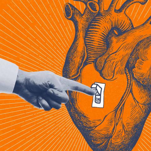 A crucial biological “switch” University of Virginia researchers discovered could lead to new medications to treat high blood pressure and vascular diseases. (Illustration by John DiJulio, University Communications)