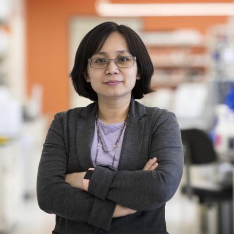 Dr. Xiaorong Liu, National Glaucoma Research grant recipient