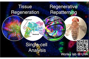 Melanie Worley is starting research group