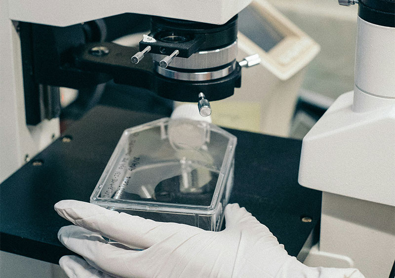 Second Annual Biological Sciences Symposium