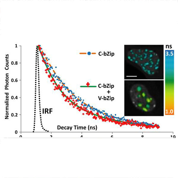 UVA Workshop Brochure