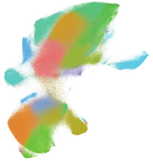 Congrats to Jiachen Shi and colleagues from the Deppmann & Zunder labs for their recent publication