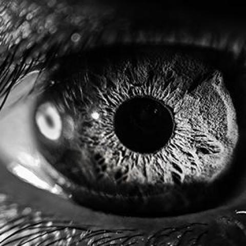Differential effects of glaucoma on ipRGCs in mice