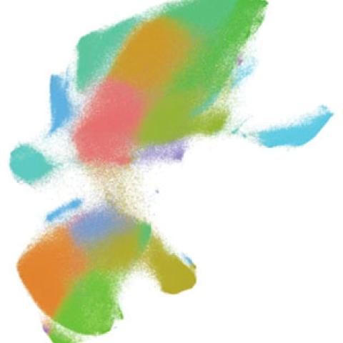 Congrats to Jiachen Shi and colleagues from the Deppmann & Zunder labs for their recent publication