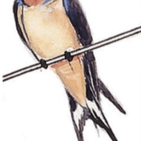 Congrats to Drew Schield and his lab for their recent publication.