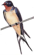 Congrats to Drew Schield and his lab for their recent publication.