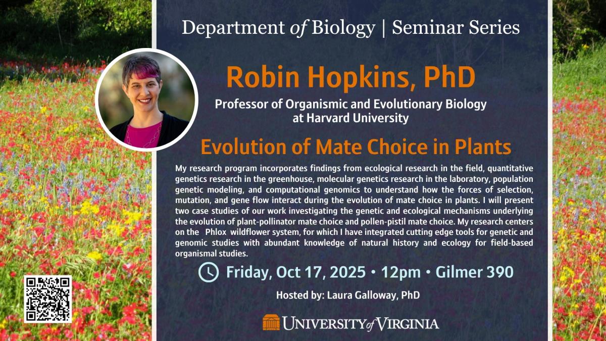 Image of flyer