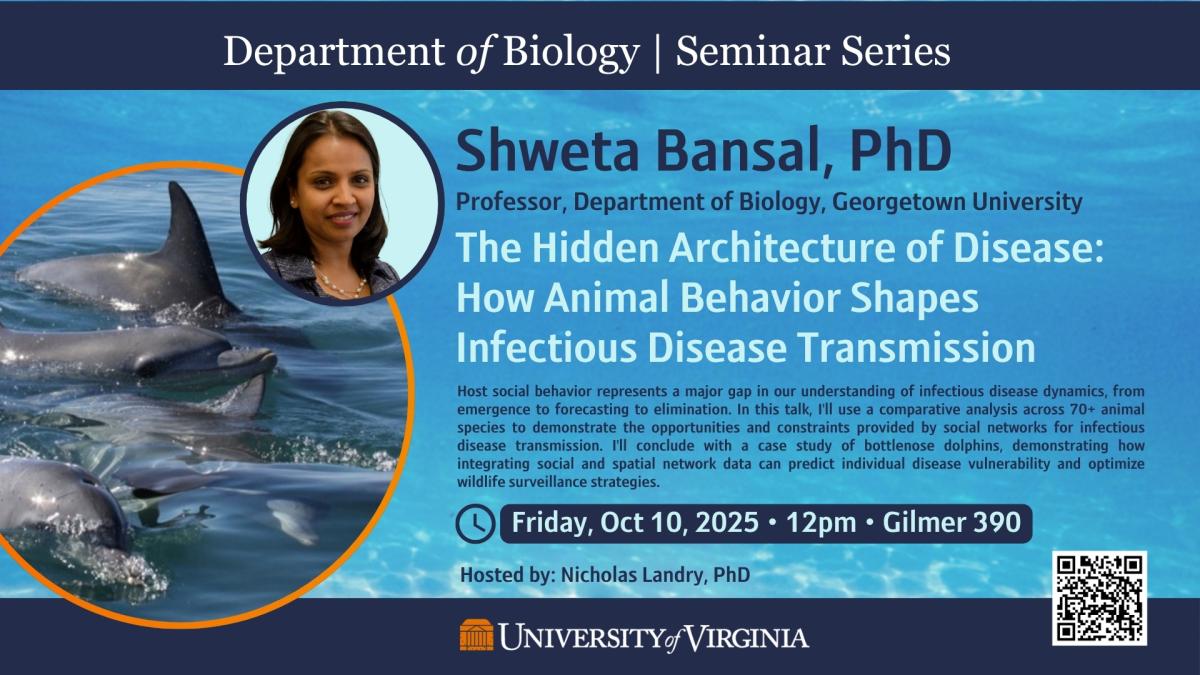 Image of flyer